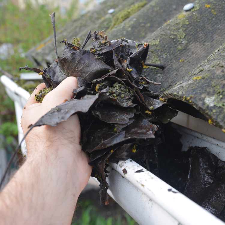 Gutters in Des Moines, IA